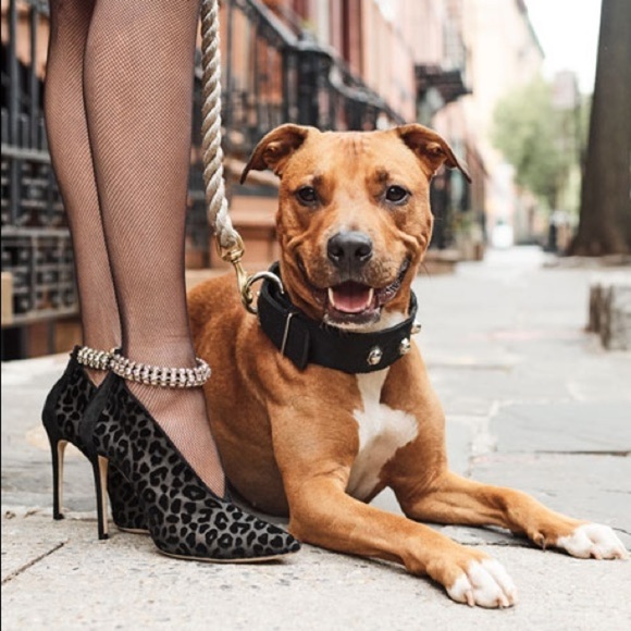 Jimmy Choo Lux Jeweled Leopard-Print Velvet Pumps - Picture 2 of 15